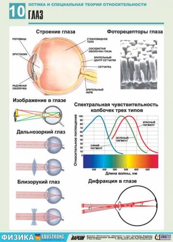 Оптика и специальная теория относительности - Глаз